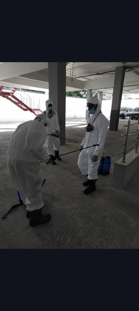 Our professional team at work